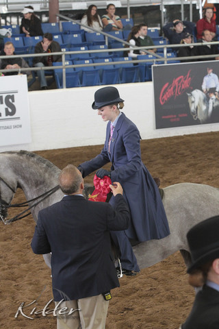 2012 Scottsdale Show | Days 1 & 2