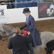 2012 Scottsdale Show | Days 1 & 2