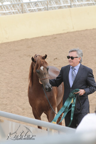 2012 Scottsdale Show | Days 1 & 2