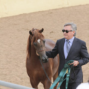 2012 Scottsdale Show | Days 1 & 2