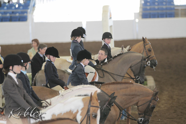 2012 Scottsdale Show | Days 1 & 2