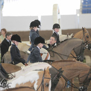 2012 Scottsdale Show | Days 1 & 2