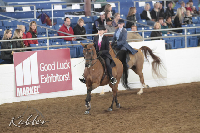 2012 Scottsdale Show | Days 1 & 2