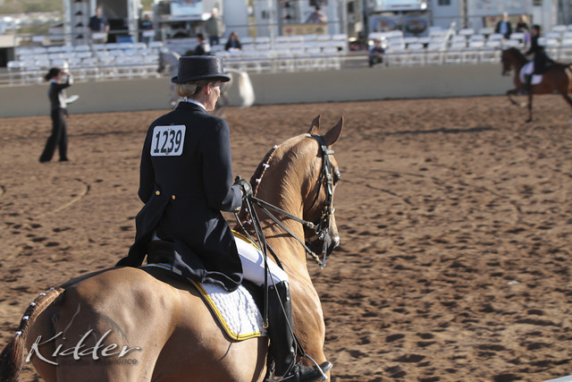 2012 Scottsdale Show | Days 1 & 2