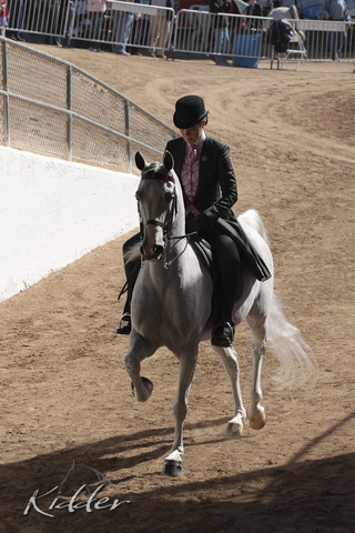 2012 Scottsdale Show | Days 1 & 2