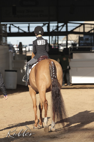 2012 Scottsdale Show | Days 1 & 2