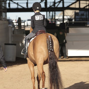 2012 Scottsdale Show | Days 1 & 2