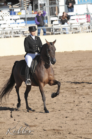 2012 Scottsdale Show | Days 1 & 2