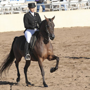 2012 Scottsdale Show | Days 1 & 2