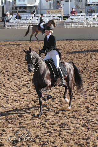 2012 Scottsdale Show | Days 1 & 2