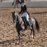 2012 Scottsdale Show | Days 1 & 2