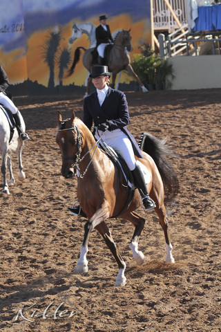 2012 Scottsdale Show | Days 1 & 2