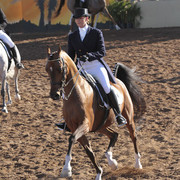 2012 Scottsdale Show | Days 1 & 2