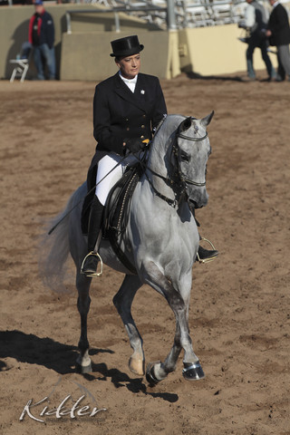 2012 Scottsdale Show | Days 1 & 2