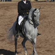 2012 Scottsdale Show | Days 1 & 2