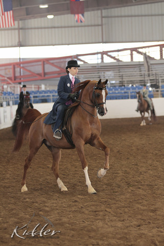 2012 Scottsdale Show | Days 1 & 2