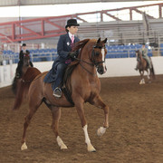 2012 Scottsdale Show | Days 1 & 2