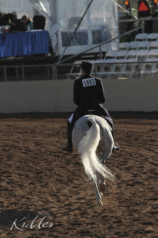 2012 Scottsdale Show | Days 1 & 2