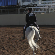 2012 Scottsdale Show | Days 1 & 2