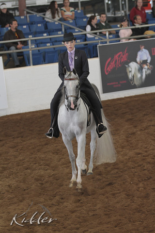 2012 Scottsdale Show | Days 1 & 2