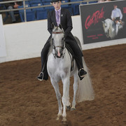 2012 Scottsdale Show | Days 1 & 2
