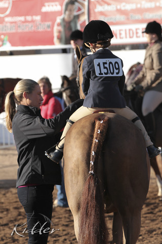 2012 Scottsdale Show | Days 1 & 2