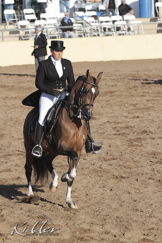 2012 Scottsdale Show | Days 1 & 2