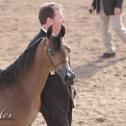 2012 Scottsdale Show | Days 1 & 2