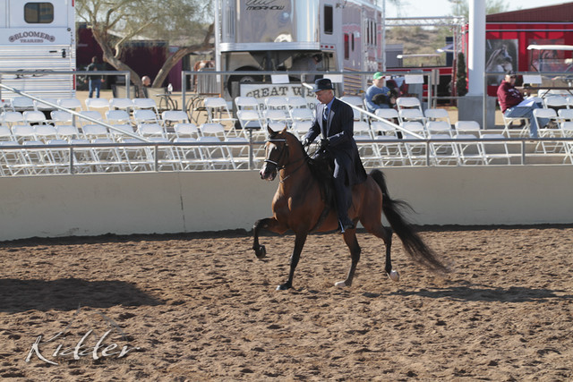 2012 Scottsdale Show | Days 1 & 2