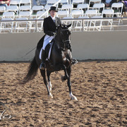 2012 Scottsdale Show | Days 1 & 2