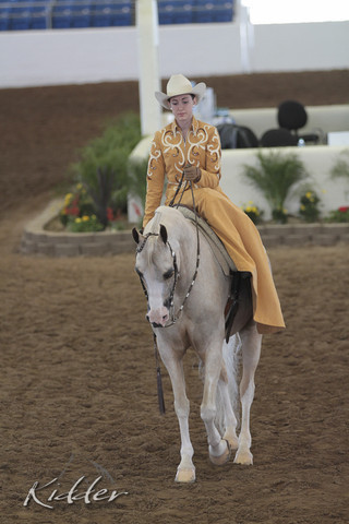 2012 Scottsdale Show | Days 1 & 2