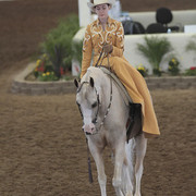 2012 Scottsdale Show | Days 1 & 2