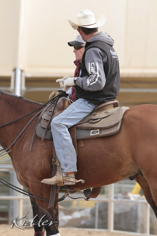 2012 Scottsdale Show | Days 1 & 2
