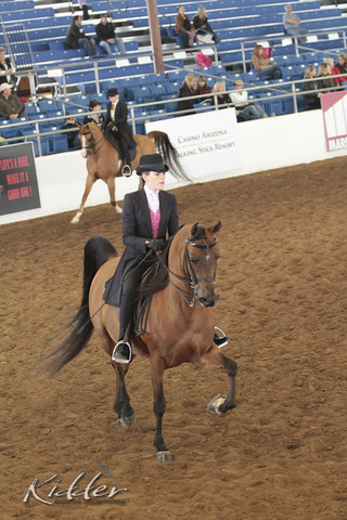 2012 Scottsdale Show | Days 1 & 2