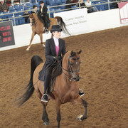 2012 Scottsdale Show | Days 1 & 2