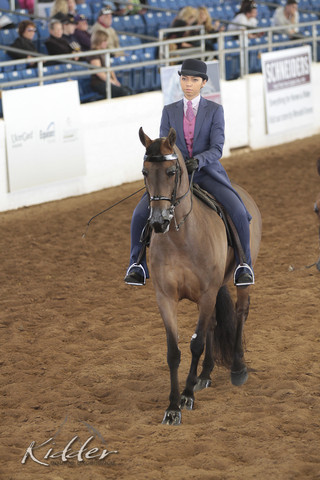 2012 Scottsdale Show | Days 1 & 2