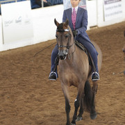 2012 Scottsdale Show | Days 1 & 2