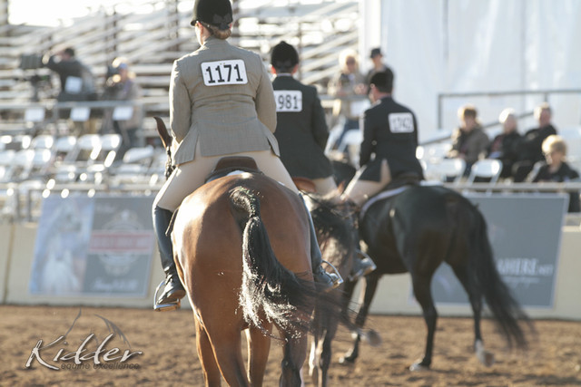 2012 Scottsdale Show | Days 1 & 2