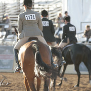 2012 Scottsdale Show | Days 1 & 2