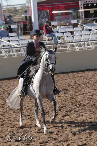 2012 Scottsdale Show | Days 1 & 2