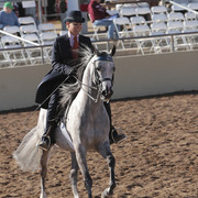 2012 Scottsdale Show | Days 1 & 2