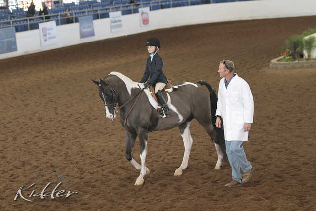 2012 Scottsdale Show | Days 1 & 2