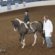 2012 Scottsdale Show | Days 1 & 2