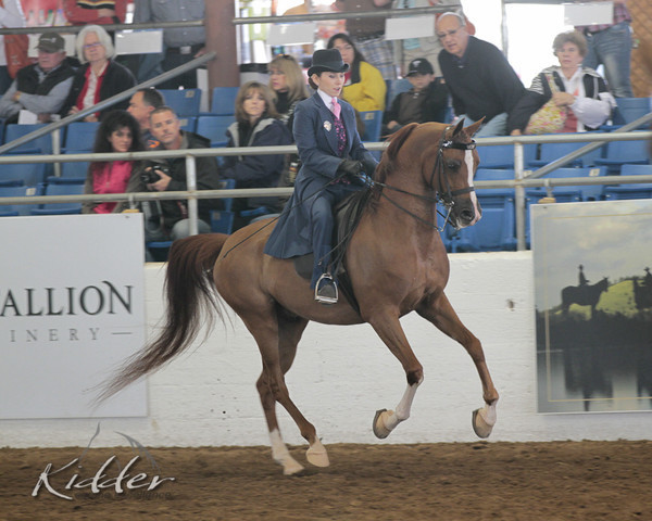 2012 Scottsdale Show | Days 1 & 2