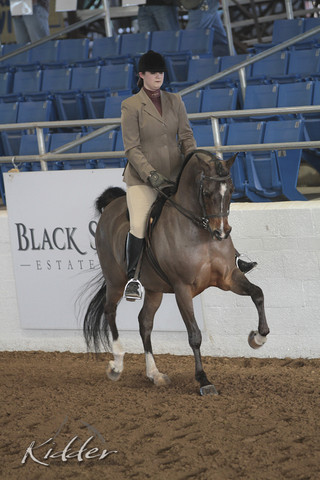 2012 Scottsdale Show | Days 1 & 2