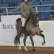 2012 Scottsdale Show | Days 1 & 2