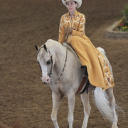 2012 Scottsdale Show | Days 1 & 2