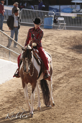 2012 Scottsdale Show | Days 1 & 2