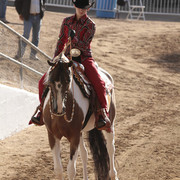 2012 Scottsdale Show | Days 1 & 2