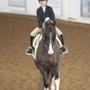 2012 Scottsdale Show | Days 1 & 2